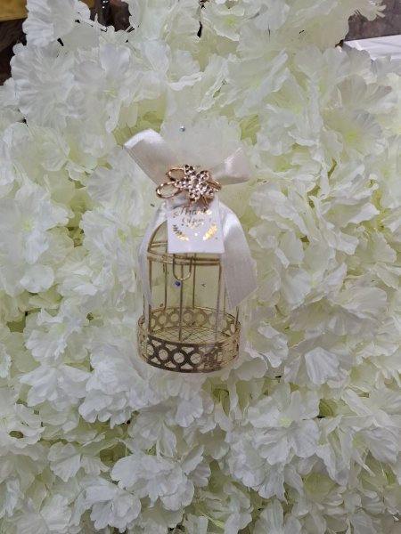 توزيعات الاقفاص